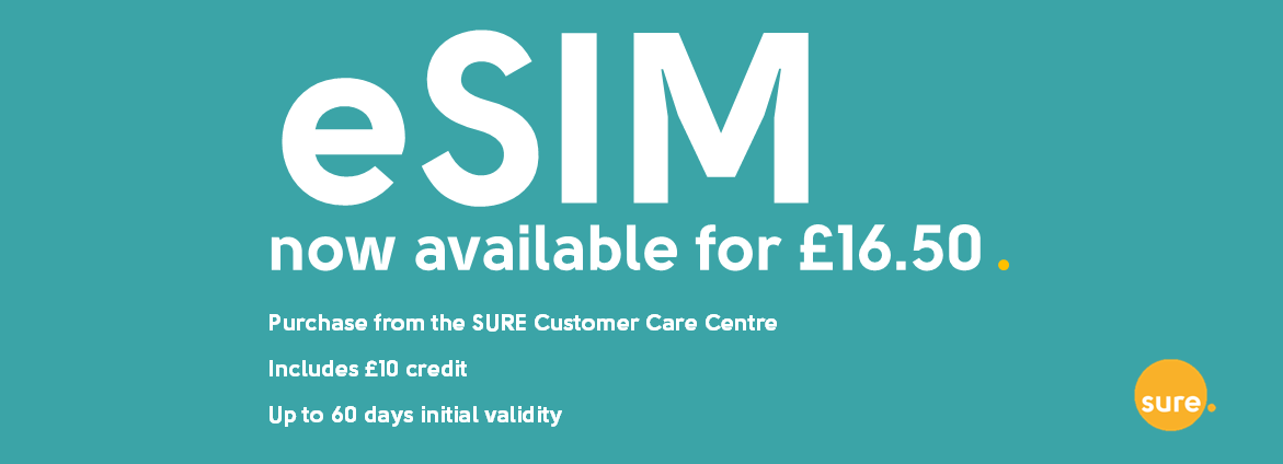 esim web banner
